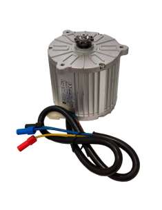 Motor 48V 1600W IMR...