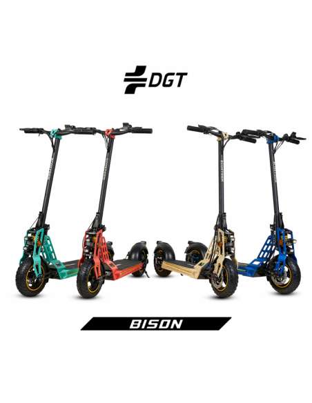 Ecoxtrem Bison Certificado homologado DGT