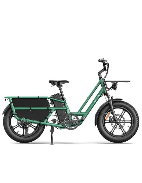 Fiido T2 Longtail Cargo E-bike