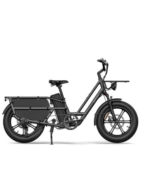 Fiido T2 Longtail Cargo E-bike