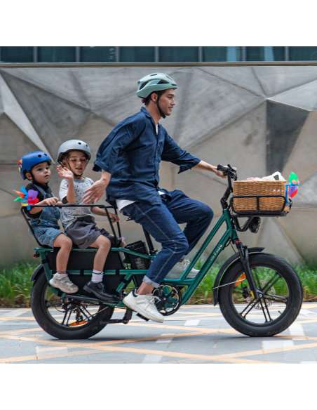 Fiido T2 Longtail Cargo E-bike