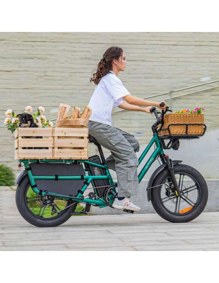 Fiido T2 Longtail Cargo E-bike