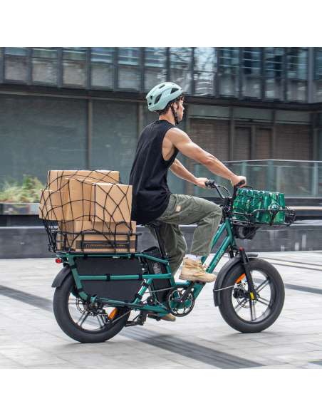 Fiido T2 Longtail Cargo E-bike