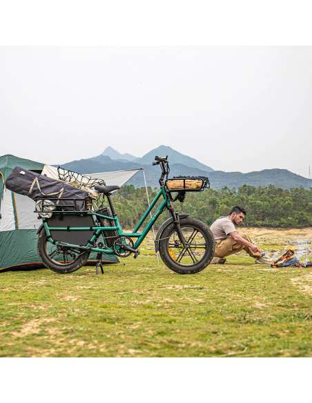 Fiido T2 Longtail Cargo E-bike