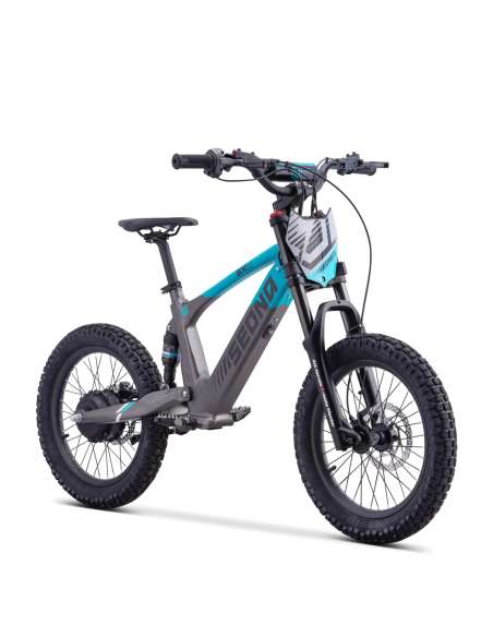 Bicicleta eléctrica Apollo Sedna SX 18"