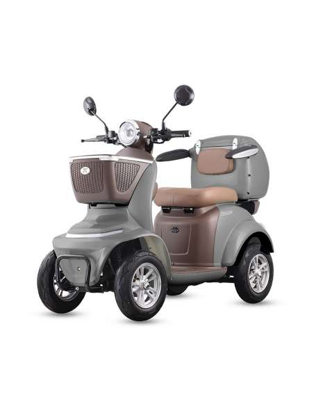 Scooter movilidad reducida Assistant L 1000W