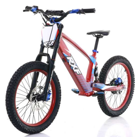 Bicicleta eléctrica Roan RXF Evo Racing 20"