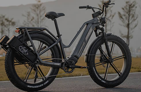 Bicicletas el&eacute;ctricas ebikes